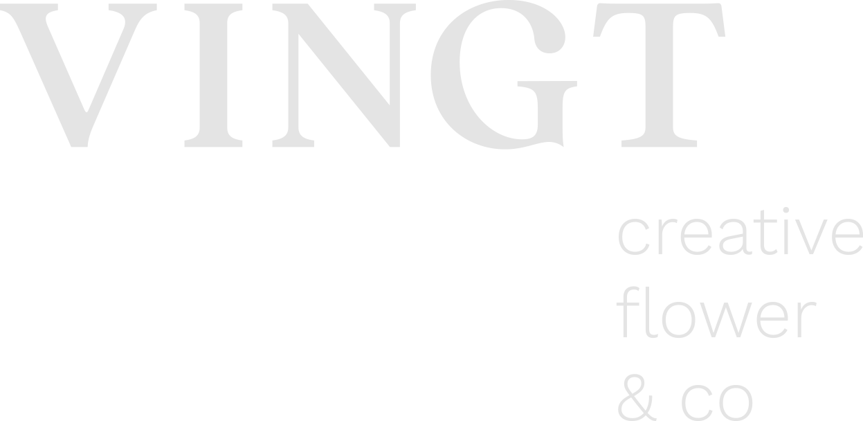 ify-creation-marcia-raposo-daniel-zito-branding-aia-academia-investimentos-alternativos