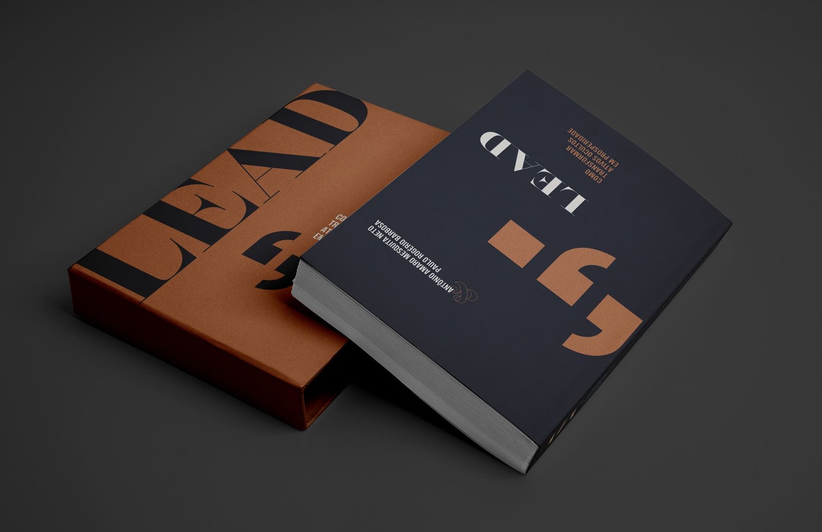 Capa e luva do livro LEAD da AIA, Como transformar ativos ocultos em prosperidade